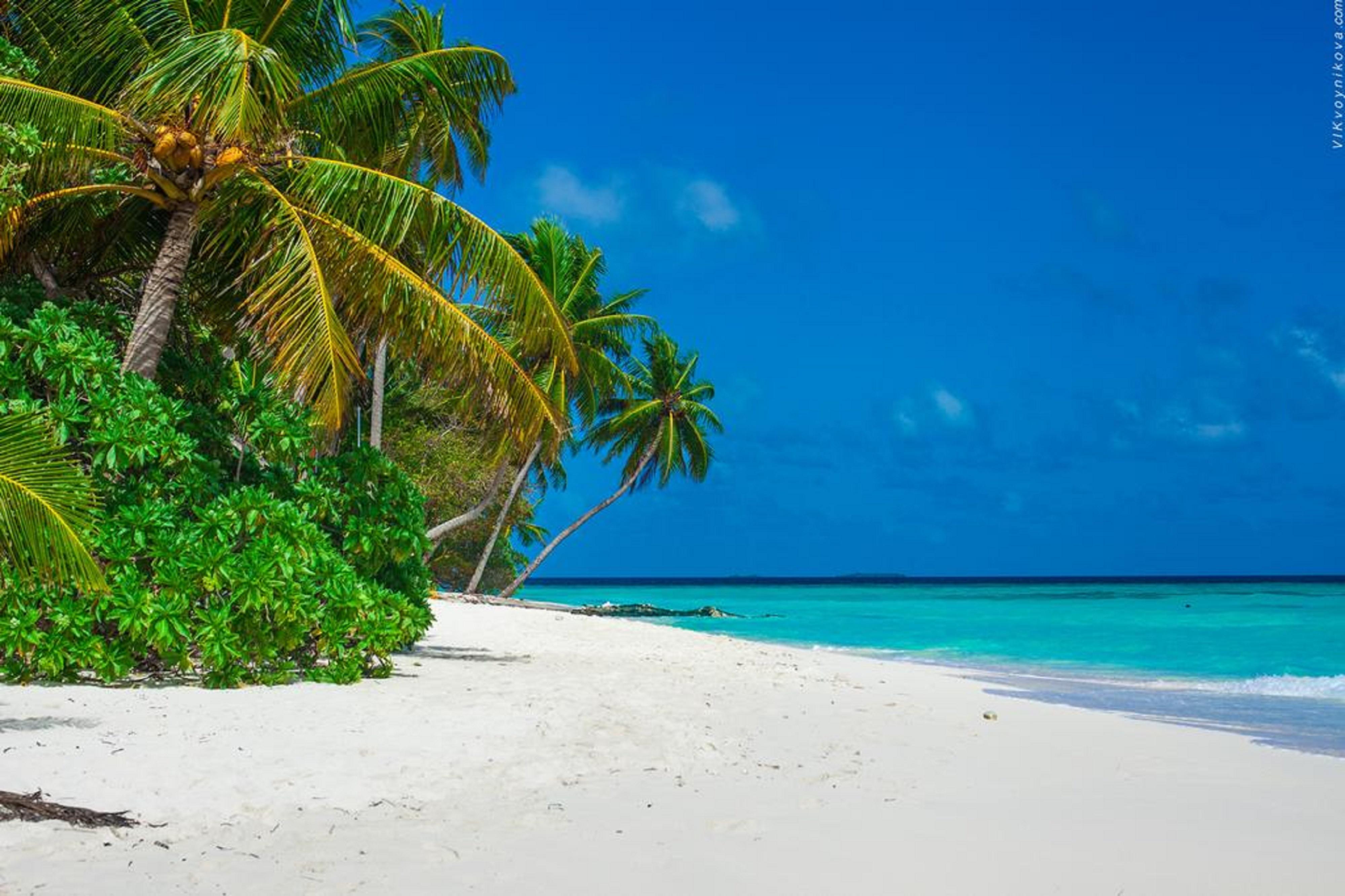 Stingray Beach Inn Maafushi Zewnętrze zdjęcie