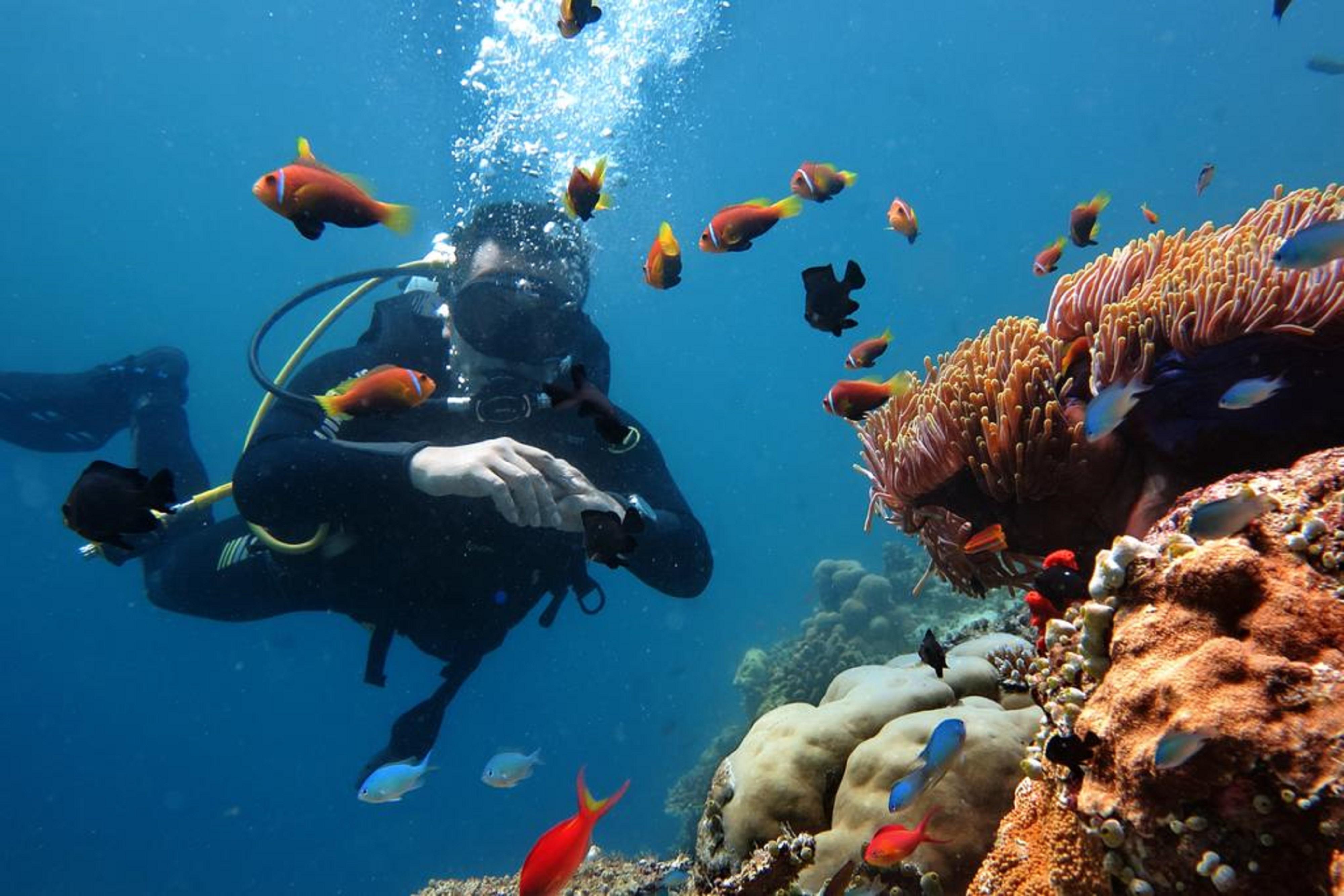 Stingray Beach Inn Maafushi Zewnętrze zdjęcie