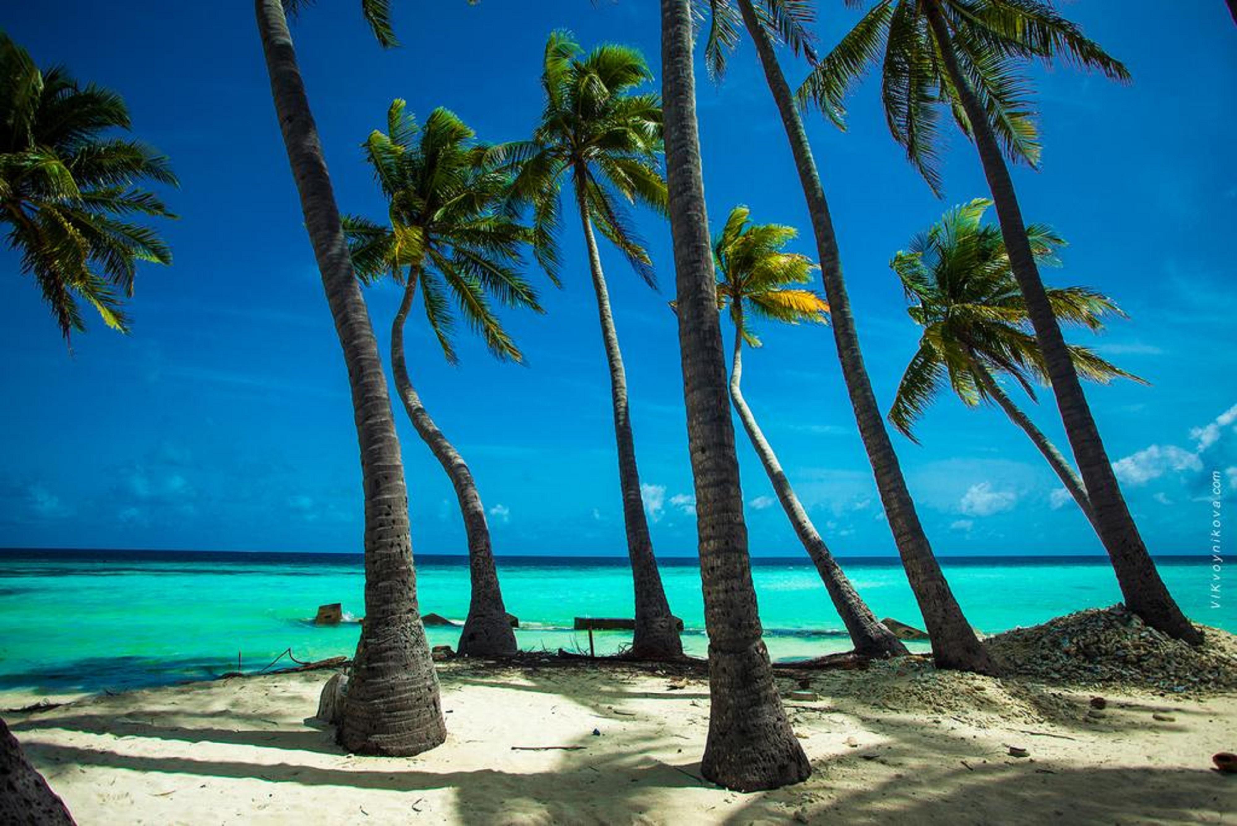 Stingray Beach Inn Maafushi Zewnętrze zdjęcie