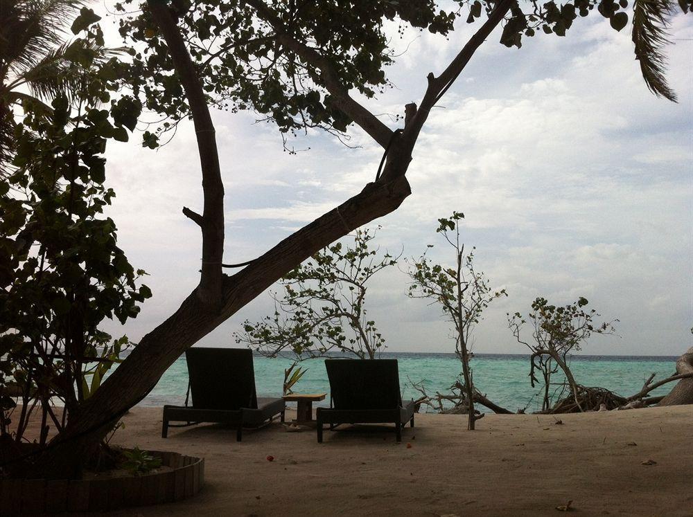 Stingray Beach Inn Maafushi Zewnętrze zdjęcie